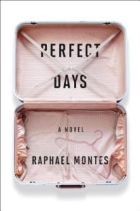 Perfect Days book cover: an open suitcase that is empty with pink lining