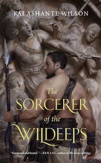 cover of Sorcerer of the Wildeeps
