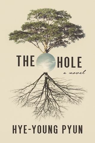 cover image for The Hole