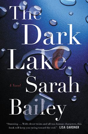 The Dark Lake cover image