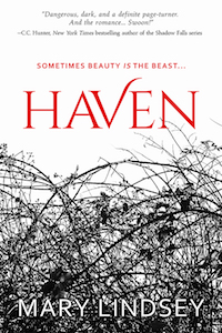 Haven by Mary Lindsey