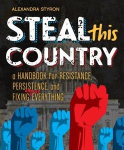 Steal This Country- A Handbook for Resistance, Persistence, and Fixing Almost Everything by Alexandra Styron book cover