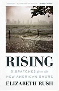 rising dispatches from the new american shore