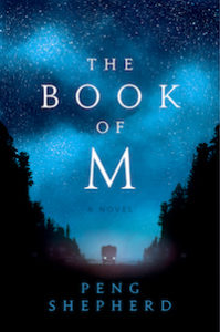 a silhouette of a truck with its headlights on, traveling directly towards the viewer, against a blue and cloudy night sky