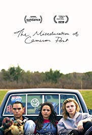 the miseducation of cameron post poster
