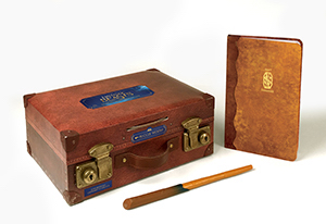 an image of a special box with locks, a wand, and the book