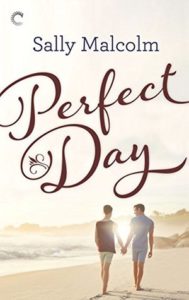 cover of perfect day by sally malcolm