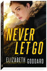 Never Let Go cover image