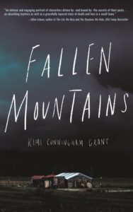 Fallen Mountains cover image