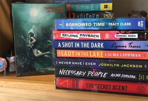 stack of mystery and thriller books on a shelf