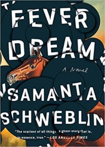 fever dream by samanta schweblin and megan mcdowell book cover the fright stuff