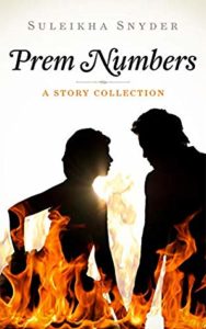 cover of Prem Numbers by Suleikha Snyder