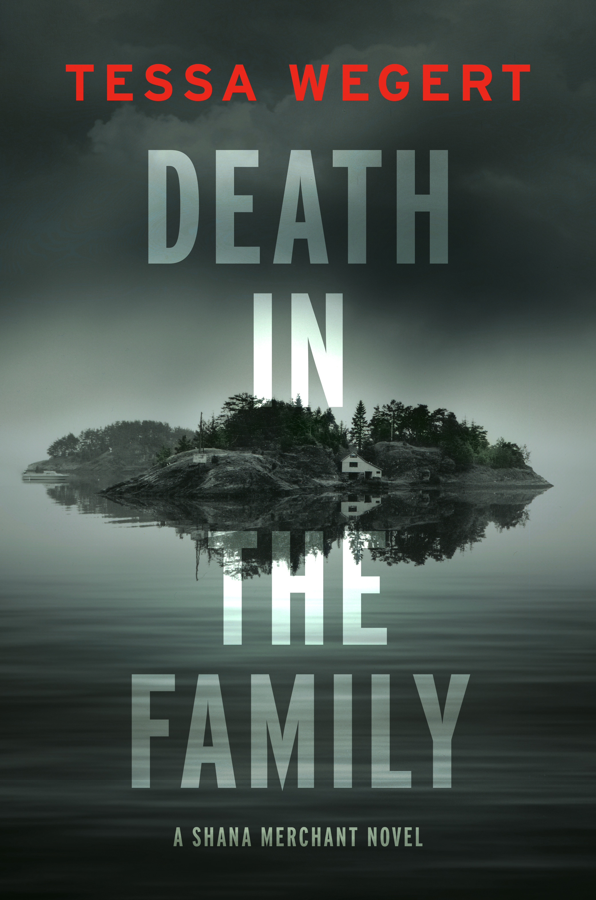 cover image for Death in the Family