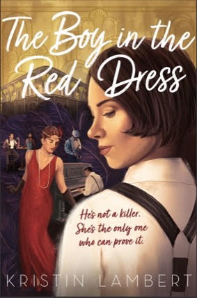 The Boy in the Red Dress cover image