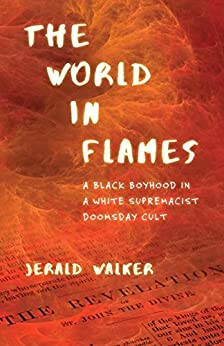 cover image of World in Flames by Jerald Walker