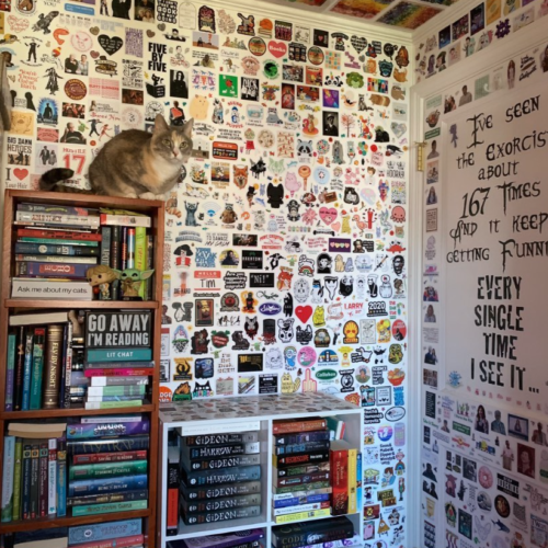 cat sitting on a bookcase in front of a wall full of stickers