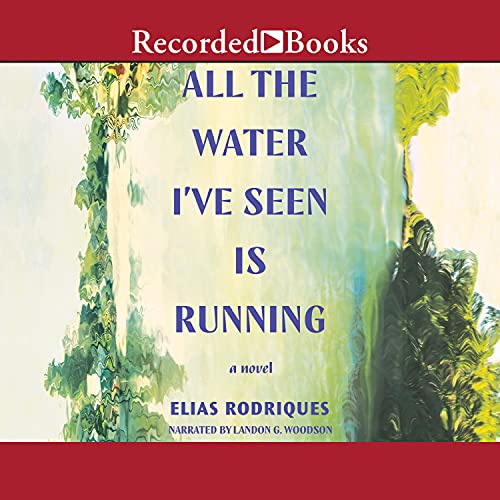 cover image of All the Water I've Seen Is Running by Elias Rodriques