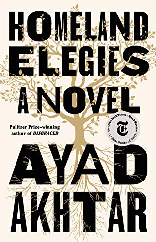 cover of Homeland Elegies: A Novel by Ayad Akhtar 