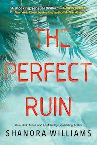 cover image The Perfect Ruin