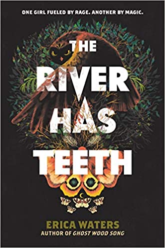 Cover of The River Has Teeth by Erica Waters
