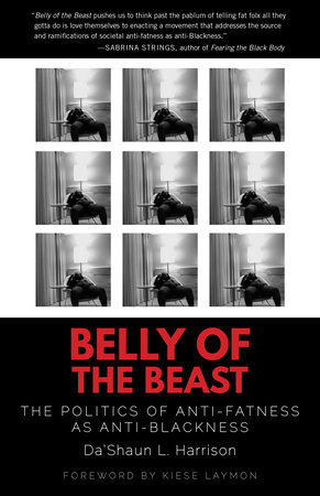 Belly of the Beast cover