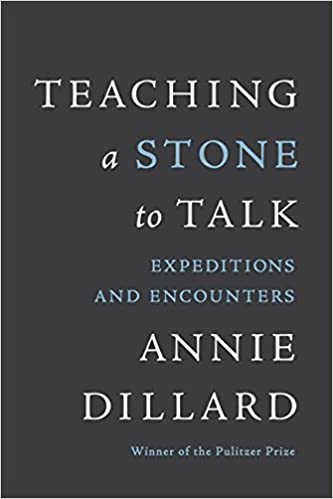 Teaching a Stone to Talk cover