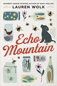 cover image of Echo Mountain by Lauren Wolk