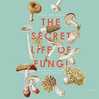 A graphic of the cover of The Secret Life of Fungi: Discoveries from a Hidden World by Aliya Whitely