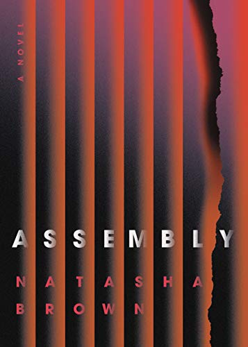cover of Assembly by Natasha Brown, featuring several straight lines and one that looks as though it is burnt