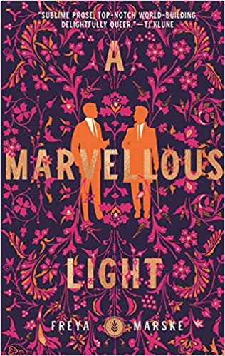 A Marvellous Light book cover