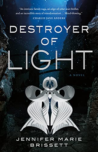 Cover of Destroyer of Light by Jennifer Marie Brissett