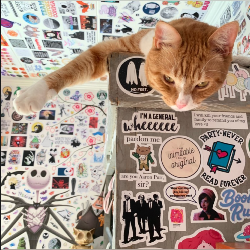 an orange cat hanging its head over the side of a gray bookcase covered in stickers, with stickers all over the walls in the background