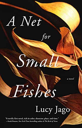 cover of A Net For Small Fishes by Lucy Jago, black with a dried yellow plant stalk and leaves 