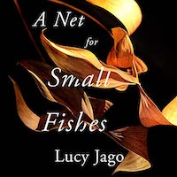 A graphic of the cover of A Net for Small Fishes by Lucy Jago