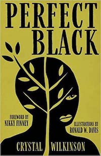 A graphic of the cover of Perfect Black