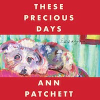 A graphic of the cover of These Precious Days