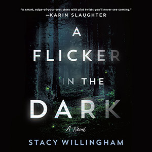 A Flicker in the Dark audiobook cover