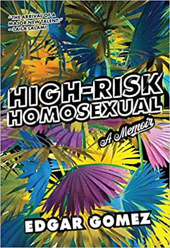 the cover of High-Risk Homosexual