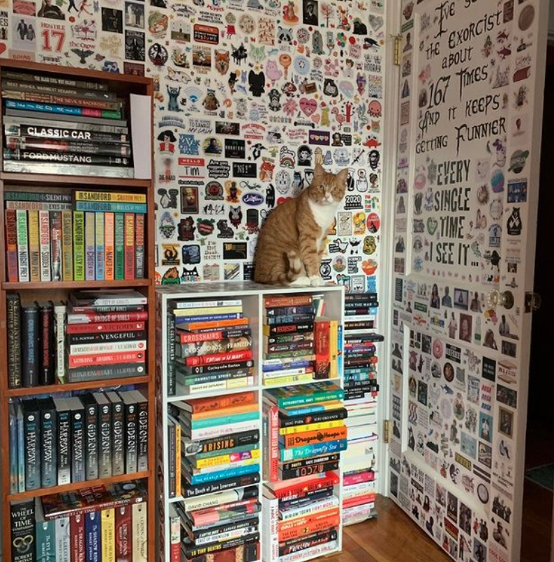 orange cat sitting on bookcase in front of wall covered in stickers