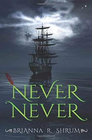 never never book cover