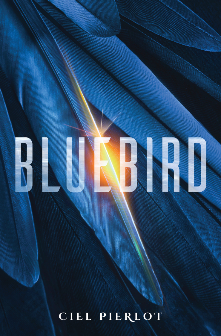 the cover of Bluebird by Ciel Pierlot