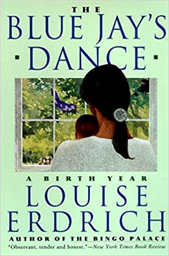 book cover for The Blue Jay's Dance
