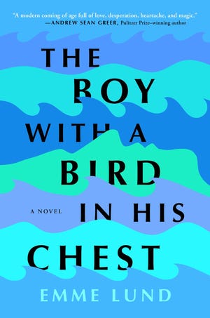 the cover of The Boy with a Bird in His Chest