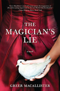 cover image for The Magician's Lie