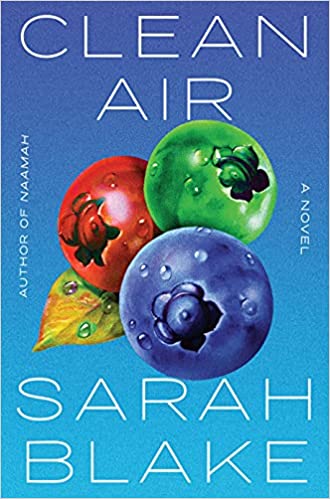 Cover of Clean Air by Sarah Blake