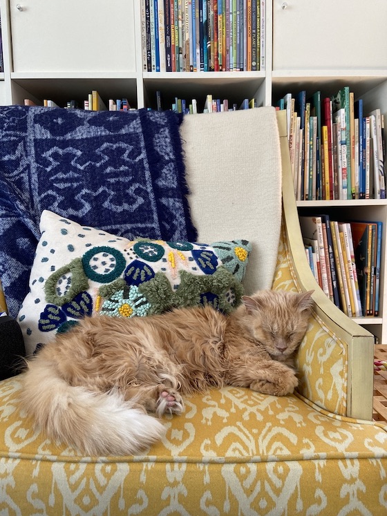 orange cat sitting in a yellow reading chair with a bookcase full of picture books in the background
