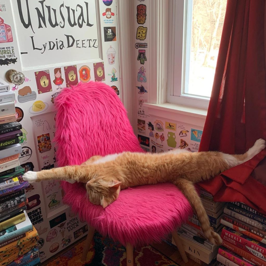 orange cat stretching; photo by Liberty Hardy