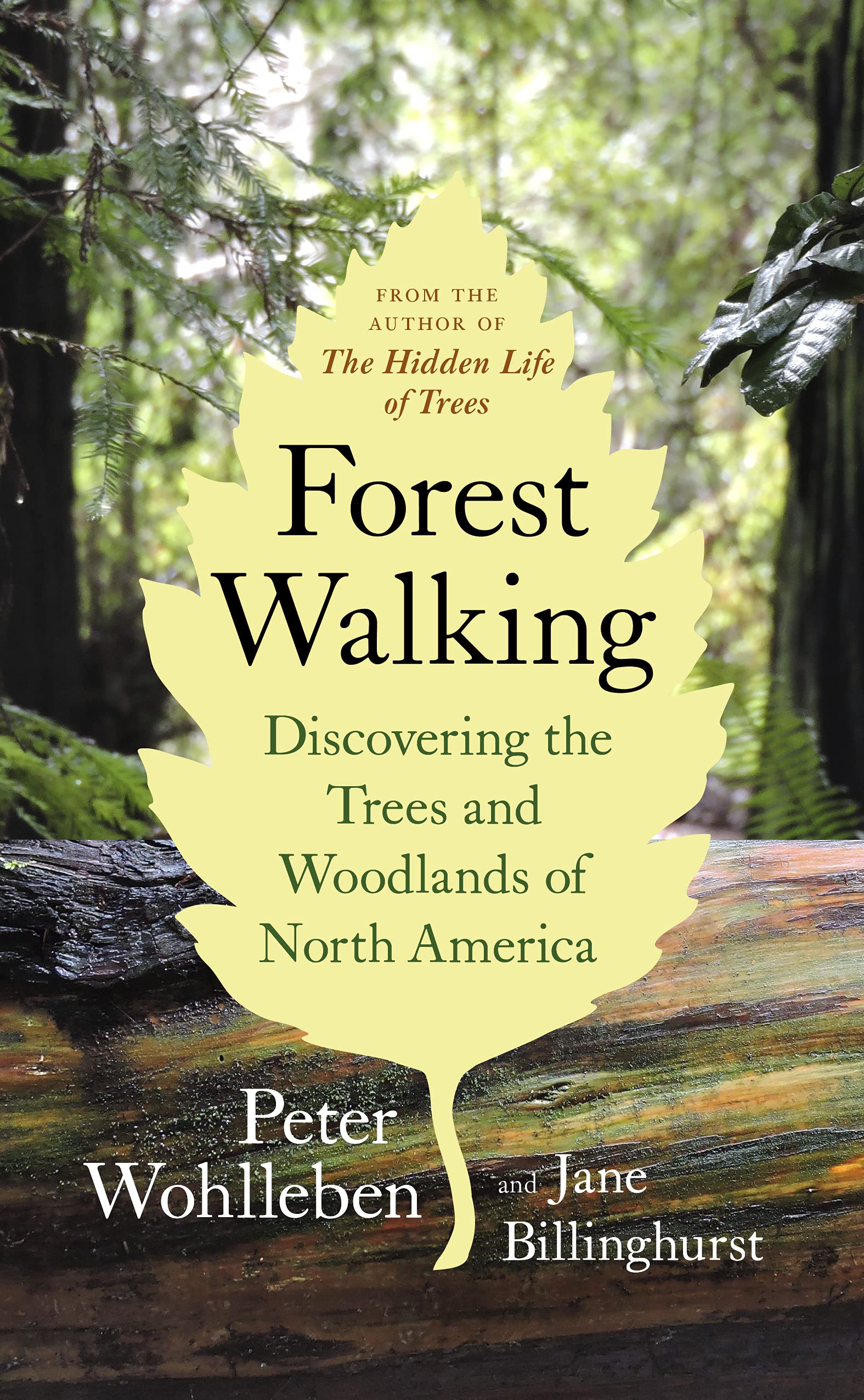 Forest Walking: Discovering the Trees and Woodlands of North America by Peter Wohlleben  and Jane Billinghurst  cover