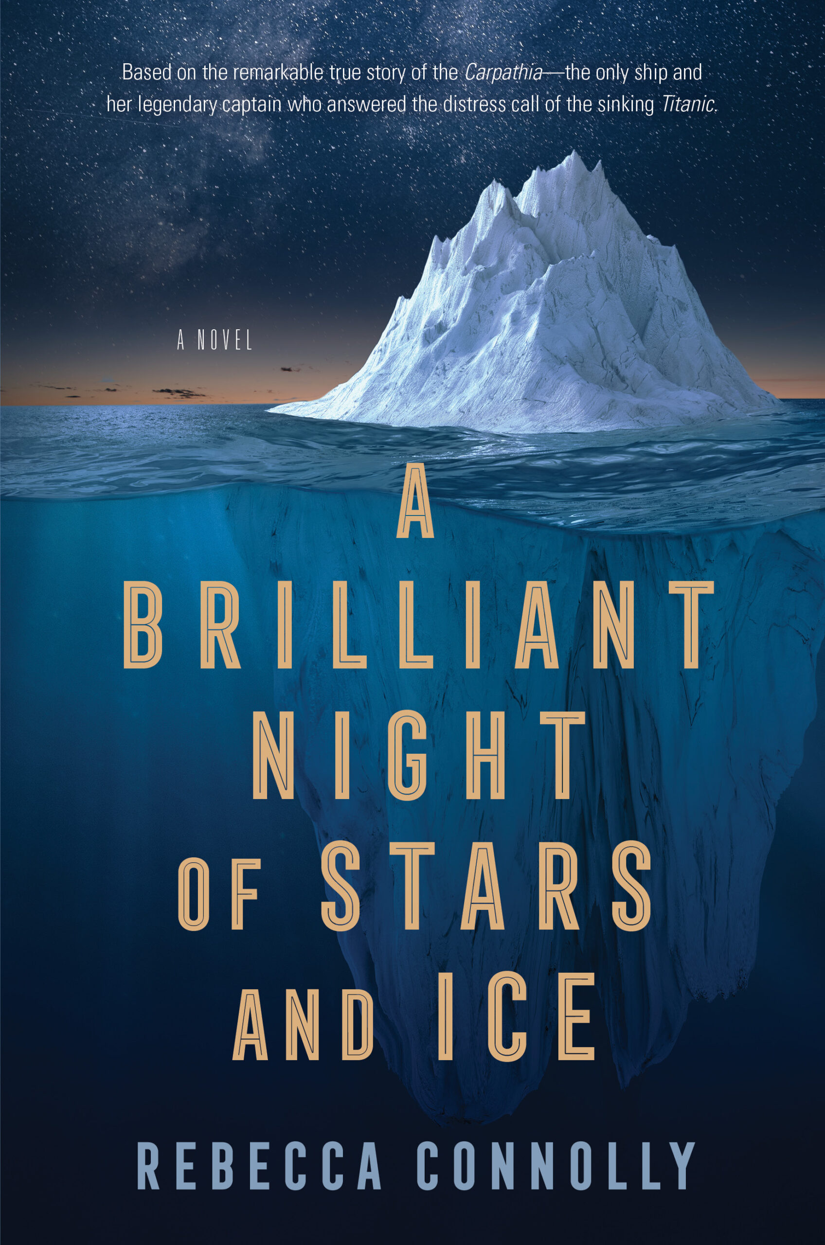A Brilliant Night of Stars and Ice Book Cover