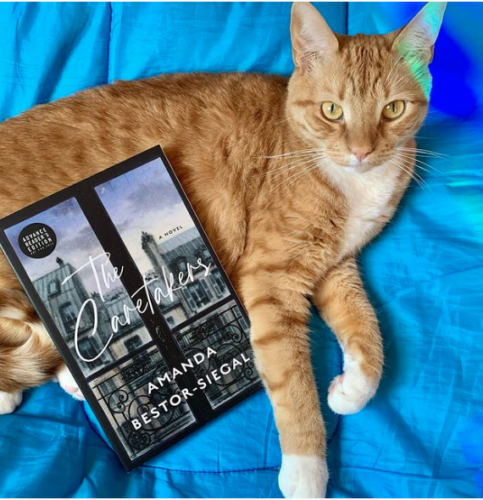 orange cat with copy of The Caretakers by Amanda Bestor-Siegal; photo by Liberty Hardy